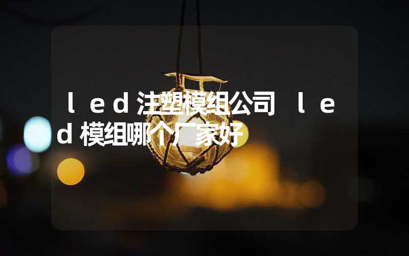 led注塑模组公司 led模组哪个厂家好